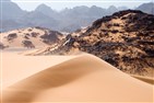 Maghreb Media Roundup (7 August)