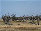 المغرب العربي في مواجهة خطر نقص المياه