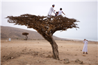 Jadaliyya Launches the Photography and Audiovisual Narratives Page