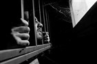 عن أحمد وعبدالله ومحمد وماهينور وإسلام 