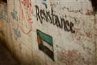 Debating Palestine: Representation, Resistance, and Liberation 