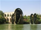Seven Hours in Hama