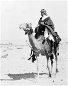 Lawrence of E-rabia: Facebook and the New Arab Revolt