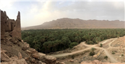 What Happens to Oasis Farming When the Water Runs Out?