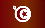 Can We Think in Transition? Reflections from Tunisia