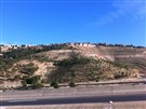 Colonial Planning of My Grandfather’s Hilltop 