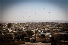 في مخيمات اللاجئين الأردنية: عودة القضية الفلسطينية إلى الواجهة