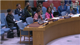 Jadaliyya Co-Editor Noura Erakat Speaks on Palestine at the UN Security Council (6 October, 2025)