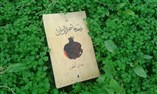 شجرة الرمان: معادل للشهوة والموت