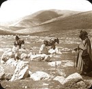 A Rejoinder to the Response of Lama Abu Odeh: On Jordan, the Hashemite Regime, and the Current Mobilizations