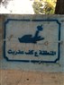 Saudi Arabia Gazes at Lebanon with Vengeance