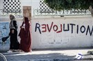 تدجين الانتفاضات العربية