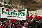 The Legacy of 1960s and 1970s Arab American Activism