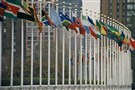 A Comment on the UN’s Alleged Anti-Israel Bias