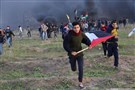 Palestine Media Roundup (February 23 - March 1)