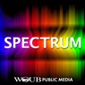Jadaliyya Co-Editor Bassam Haddad Speaks on Syria's Internal Wars and External Interventions, on NPR's Spectrum (Interview Transcript)