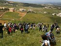 Return, Fail, Repeat: Palestinian Refugees in Lebanon