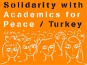 Academics for Peace Continue Standing Trials: An Interview with Murat Birdal