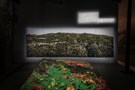 The Place That Remains: An Interview with Hala Younes