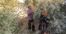 Palestine Media Roundup (26 January)