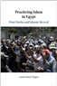 Aaron Rock-Singer, Practicing Islam in Egypt: Print Media and Islamic Revival (New Texts Out Now)
