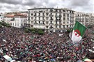 الحراك الجزائري في زمن الخيانة، أيلول ٢٠١٩