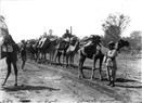 Australianama: Coloring Australian History