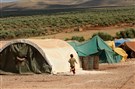 Foreign Policy Media Roundup (February 2020)