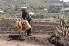 For the People of the River, Not Investors: Toward a “Declaration of Principles” Guaranteeing Farmers’ Rights to the Waters of the Nile