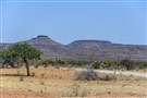 Sub-Saharan Africa Media Roundup (February - March 2020)