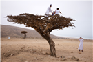 Jadaliyya Launches the Photography and Audiovisual Narratives Page