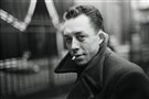 Albert Camus, the Plague, and Race