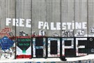  Diana Buttu on Palestinian Struggle and the Case for the One-State Solution