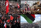 Preliminary Historical Observations on the Arab Revolutions of 2011