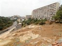 Algeria and the Arab Spring: A View from the Forest