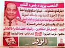 Year of the Ostrich: SCAF's Media Experiment