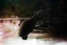 How To Not Know about the CIA’s Targeted Killing Program