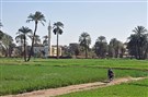 البروليتاريا الفلاحية والإقطاع الجديد : أسئلة الريف المفكك