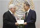The Palestinian Statehood Strategy in the United Nations: Lessons from Namibia 