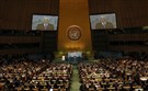 Palestine at the UN. . . . Again