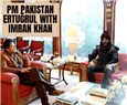 Transnational and Cross-Generational Flows: Pakistani Fandom, Piety, and Turkish Period Dramas