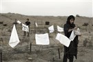 Weapons of the Resilient: A Postscript to "She Who Tells a Story: Women Photographers from Iran and the Arab World" 