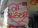 The Visual Emergence of the Occupy Gezi Movement, Part One: Oh Biber!