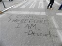 The Visual Emergence of the Occupy Gezi Movement, Part Two: Every Day I’m Capulling