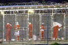 Special Bodies, Speculative Personhood: Bradley Manning and Mohamed Bouazizi 