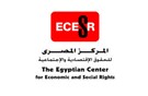 Solidarity Statement in Response to the Raid and Arrests Against the Egyptian Center for Economic and Social Rights