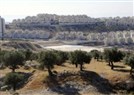 Roundtable on Occupation Law: Part of the Conflict or the Solution? (Part I: Noura Erakat)