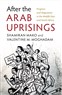 Shamiran Mako and Valentine M. Moghadam, After the Arab Uprisings: Progress and Stagnation in the Middle East and North Africa (New Texts Out Now)