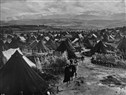 Specters of Palestine: Syrian Refugees in Lebanon