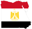 Roundtable on Post-Mubarak Egypt: Authoritarianism without Autocrats? (Part I: Sallam)